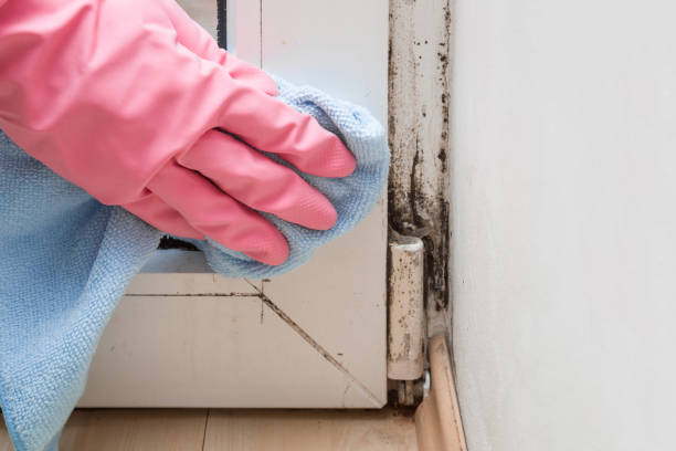 Best HVAC Mold Inspection and Cleaning  in Brooksi, DE